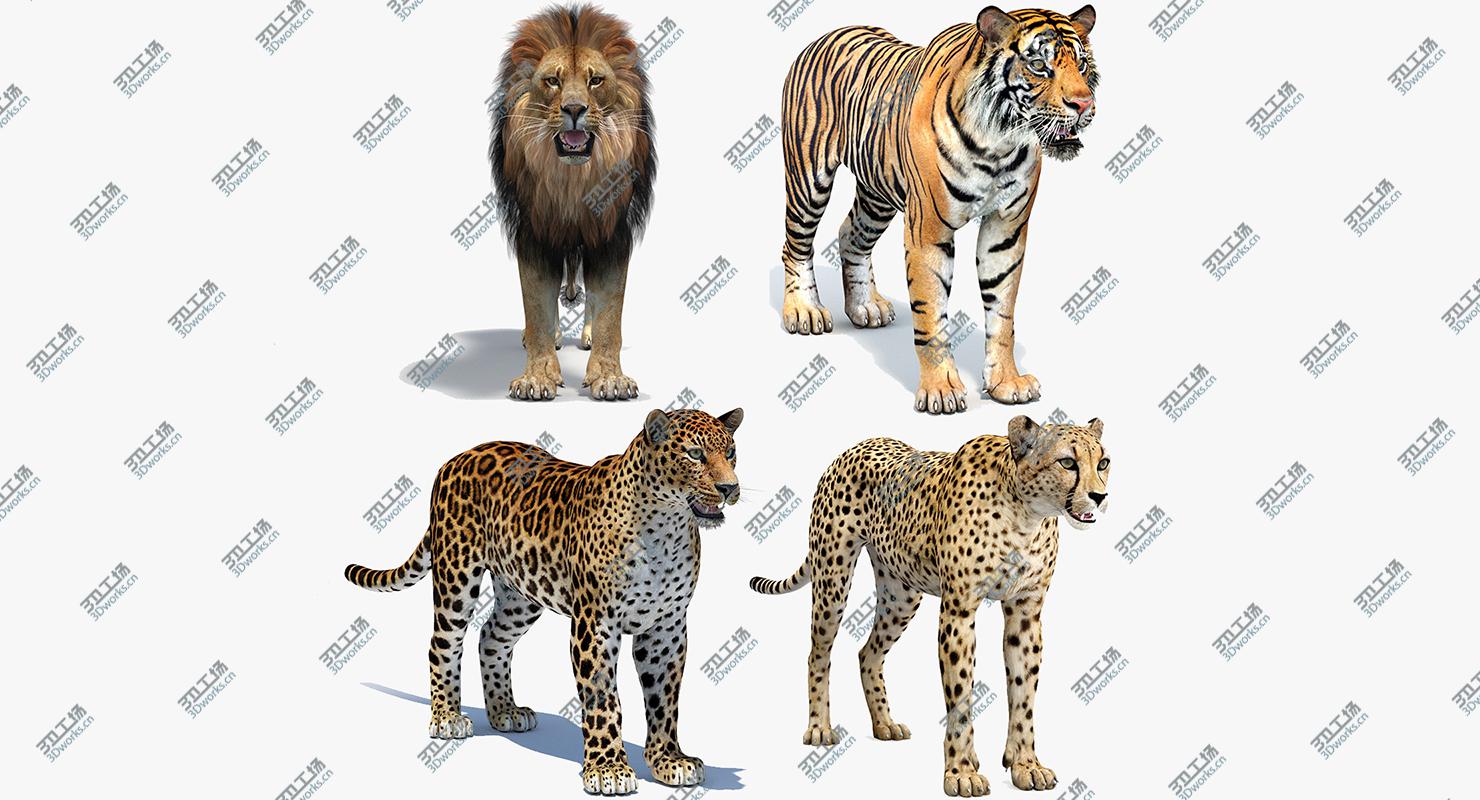 images/goods_img/2021040161/Big Cats 05 3D/2.jpg